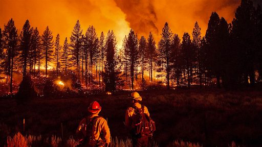 Wildfire Prep: 7 Essentials to Pack in Your Emergency Go Bag