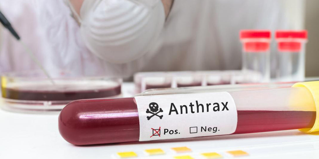What is Anthrax and How Do You Survive Exposure?