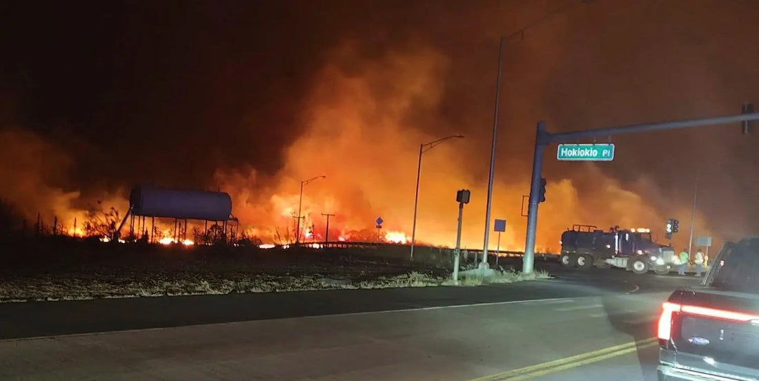 Wildfires in Hawaii seen from the road